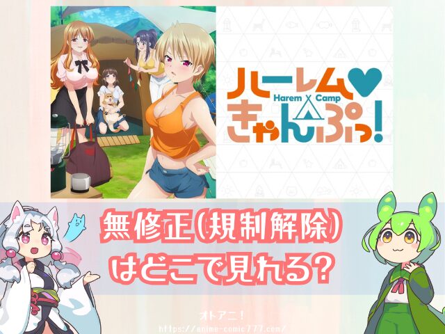 　ハーレムきゃんぷっ！　無修正版　規制解除版　どこで見れる　配信サブスク　オンエア版