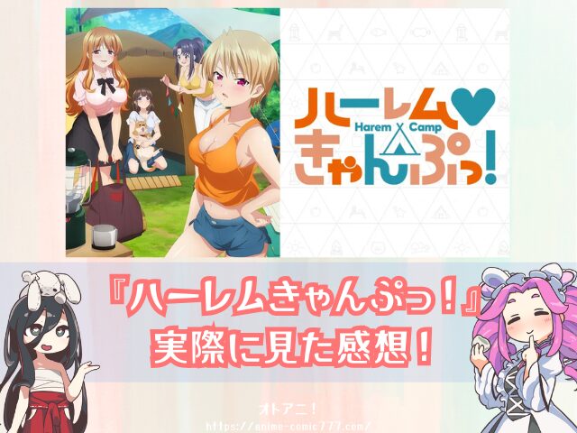 ハーレムきゃんぷっ！　無修正版　規制解除版　どこで見れる　配信サブスク　オンエア版