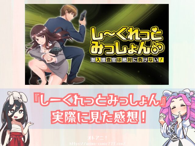 しーくれっとみっしょん　無修正版　規制解除版　どこで見れる　プレミアム版　オンエア版　違い