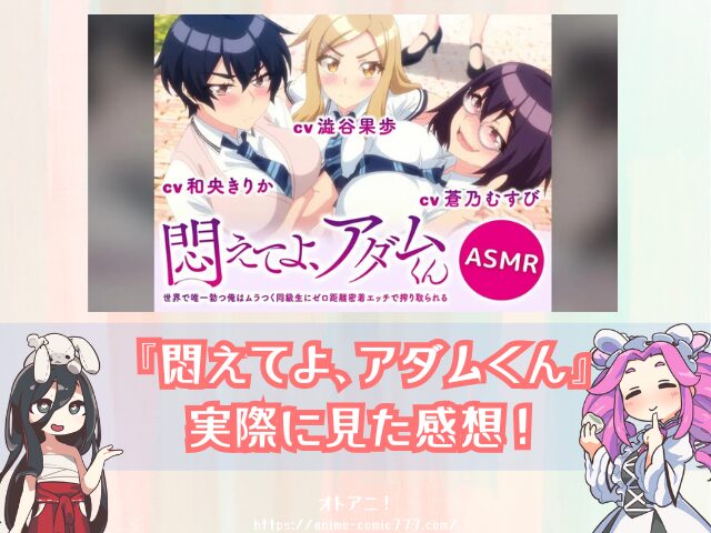 悶アダ　無修正　完全規制解除版　プレミア版　どこで見れる　配信サブスク　悶えてよ、アダムくん