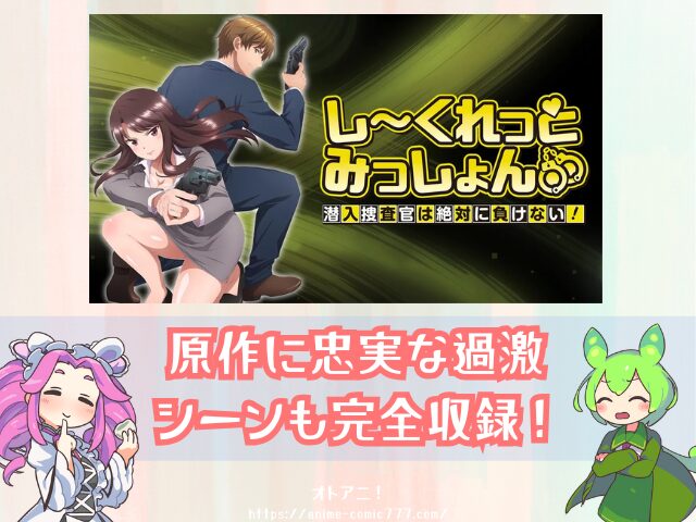 しーくれっとみっしょん　無修正版　規制解除版　どこで見れる　プレミアム版　オンエア版　違い