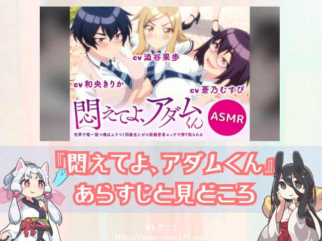 悶アダ　無修正　完全規制解除版　プレミア版　どこで見れる　配信サブスク　悶えてよ、アダムくん