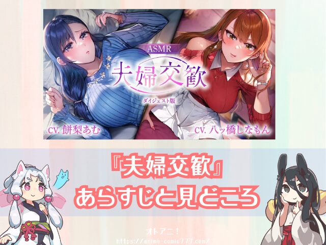 夫婦交歓　規制解除　プレミアム版　どこで見れる　配信サブスク　無修正　アニメ　夫婦交歓～戻れない夜～