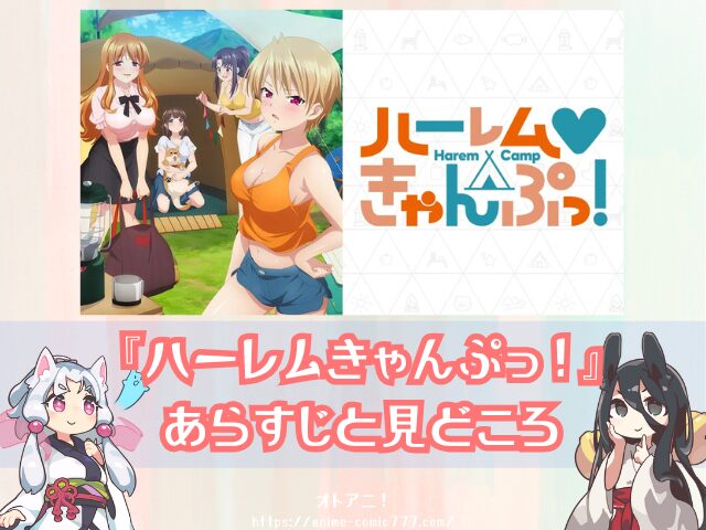 ハーレムきゃんぷっ！　無修正版　規制解除版　どこで見れる　配信サブスク　オンエア版