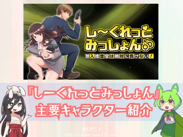 しーくれっとみっしょん　無修正版　規制解除版　どこで見れる　プレミアム版　オンエア版　違い