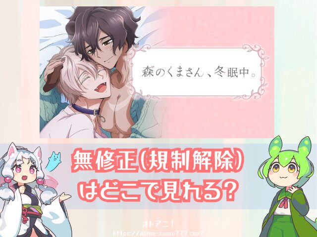 森のくまさん冬眠中　無修正版　どこで見れる　BLアニメ　配信サブスク