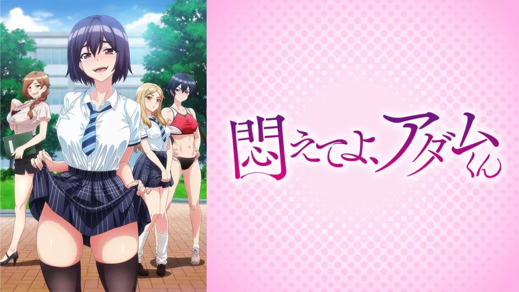 アニメフェスタ　8月度　無修正　おすすめ　人気作品　2025年度版　規制解除　僧侶枠　プレミアム版