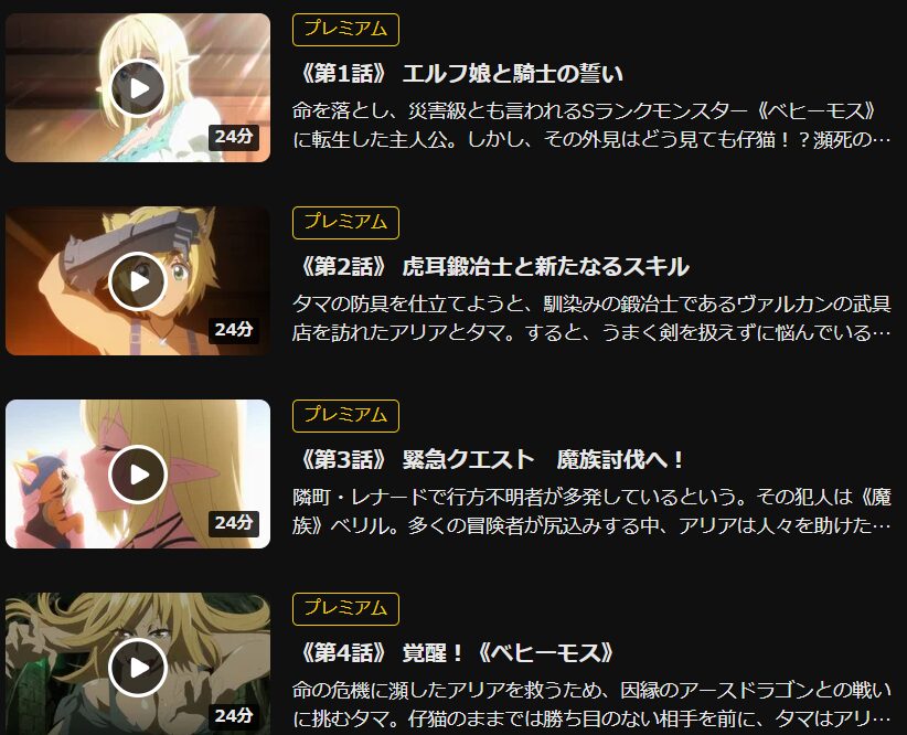 DMM TV　無修正　規制解版　アニメ　おすすめ　僧侶枠