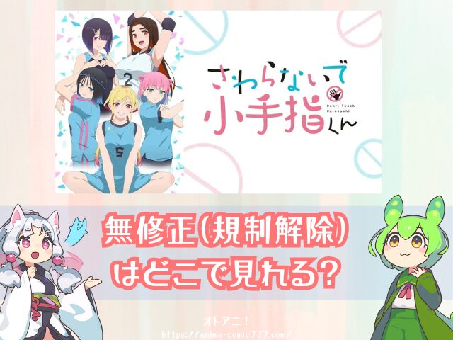 さわらないで小手指くん　規制解除　無修正版　どこで見れる　アニメ